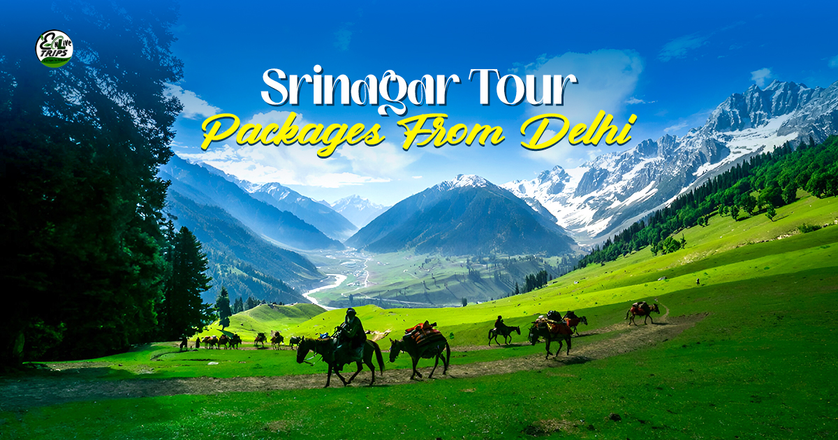 srinagar tour packages from delhi